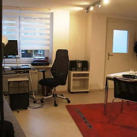 Studio-Appartment Horgen Room photo